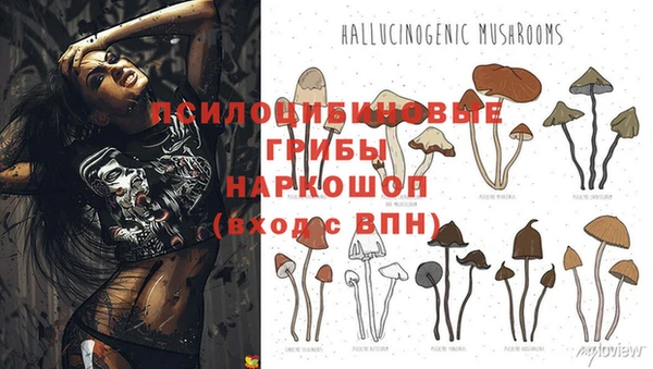 гашик Алзамай