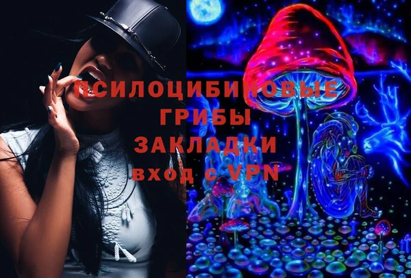 дмт Алексеевка