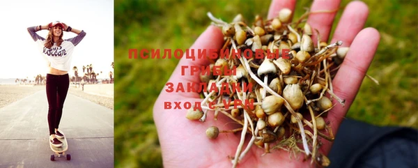 стафф Алексин